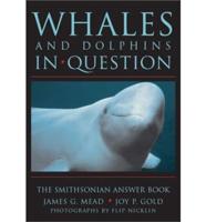 Whales and Dolphins in Question