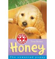 Honey Unwanted Puppy