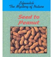 Seed to Peanut