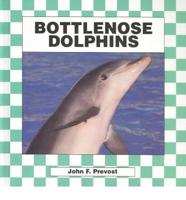 Bottlenose Dolphins