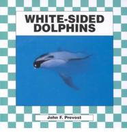 White-Sided Dolphins