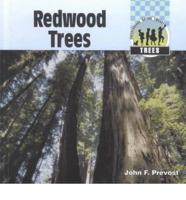 Redwood Trees