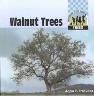 Walnut Trees