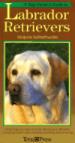 A Dog Owners Guide to Labrador Retrievers
