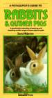 A Petkeeper's Guide to Rabbits & Guinea Pigs