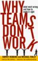 Why Teams Don't Work