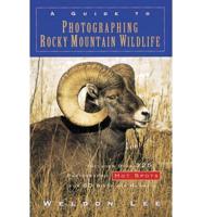 A Guide to Photographing Rocky Mountain Wildlife