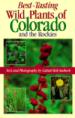 Best-Tasting Wild Plants of Colorado and the Rockies