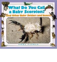 What Do You Call a Baby Scorpion?