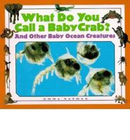What Do You Call a Baby Crab?