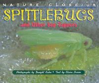 Spittlebugs and Other Sap Tappers
