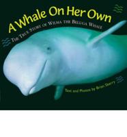 A Whale on Her Own