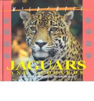 Jaguars and Leopards