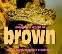 Living in a World of Brown