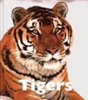 Tigers