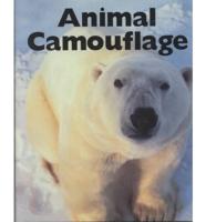 Animal Camouflage