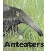 Anteaters