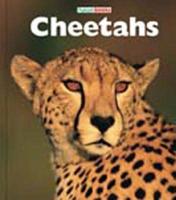 Cheetahs