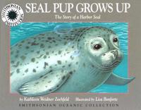 Seal Pup Grows Up