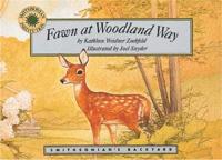 Fawn at Woodland Way