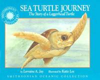 Sea Turtle Journey