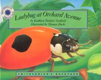 Ladybug at Orchard Avenue