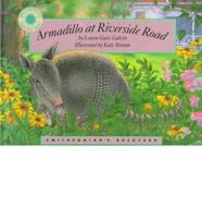 Armadillo at Riverside Road
