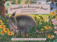 Armadillo at Riverside Road