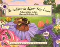 Bumblebee at Apple Tree Lane