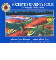 Sockeye's Journey Home