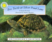 Box Turtle at Silver Pond Lane