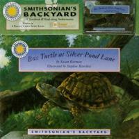 Box Turtle at Silver Pond Lane