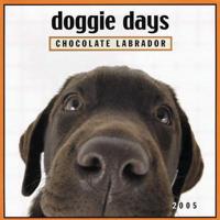 Doggie Days Chocolate Labrador 2005 Calendar