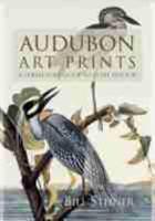 Audubon Art Prints