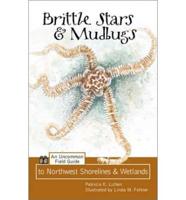 Brittle Stars & Mudbugs