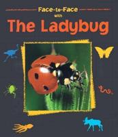 Face-to-Face With the Ladybug