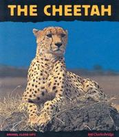 The Cheetah