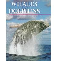 Whales and Dolphins