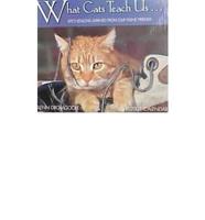 What Cats Teach Us. 2001 Calendar