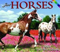 Just Horses 2004 Calendar