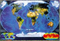 World. Satellite Image