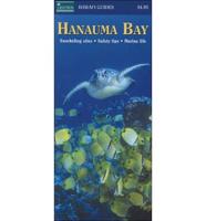 Hanauma Bay Guide