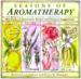 Seasons of Aromatherapy