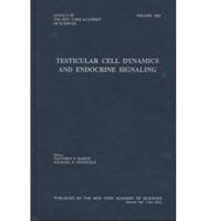 Testicular Cell Dynamics and Endocrine Signaling