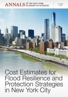 Cost Estimates for Flood Resilience and Protection Strategies in New York City