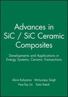 Advanced SiC/SiC Ceramic Composites