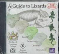 A Guide to Lizards