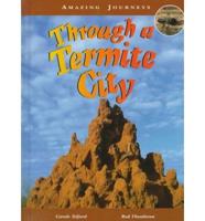 Through a Termite City