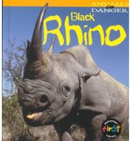 Black Rhino