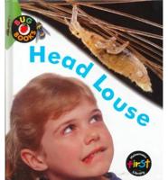 Head Louse